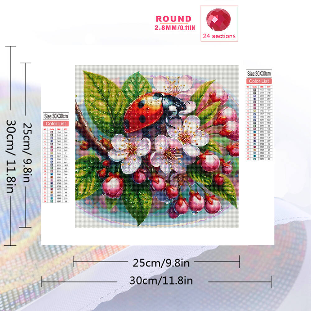 Momoart Diamond Embroidery Lad - đánh giá và giá Embroidery Lady Bug