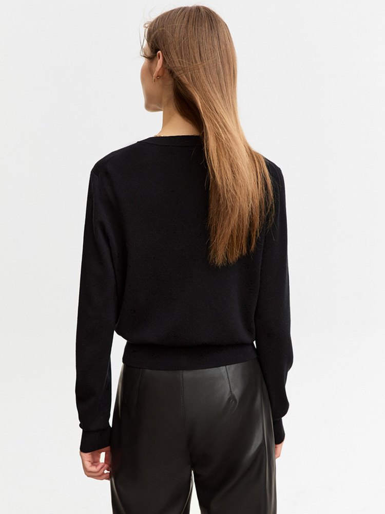 AMII Minimalist Woolly Sweater - đánh giá và giá Embroidery Lady Bug