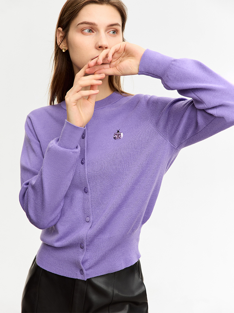 AMII Minimalist Woolly Sweater - đánh giá và giá Embroidery Lady Bug
