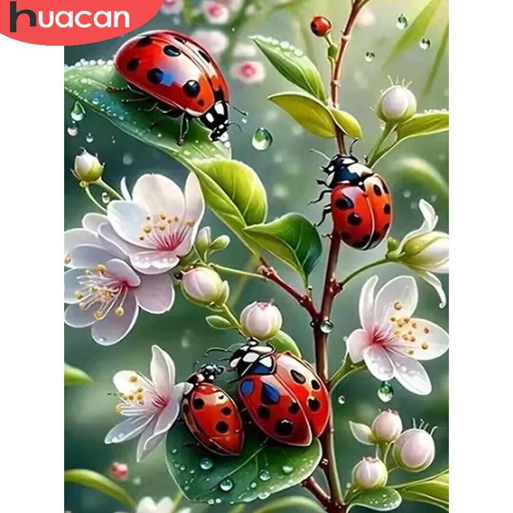 HUACAN 5d Diamond Painting Lad - đánh giá và giá Embroidery Lady Bug