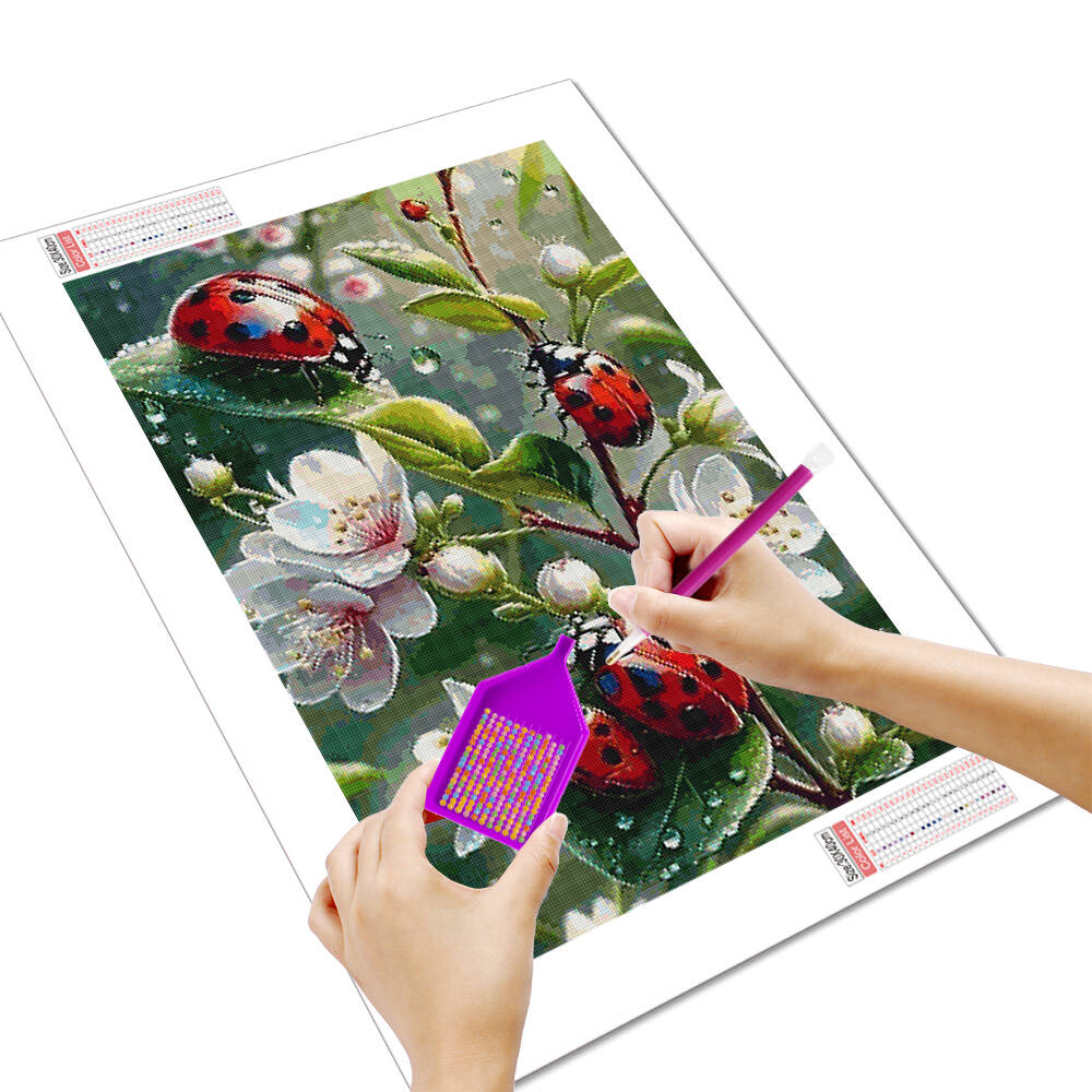 HUACAN 5d Diamond Painting Lad - đánh giá và giá Embroidery Lady Bug